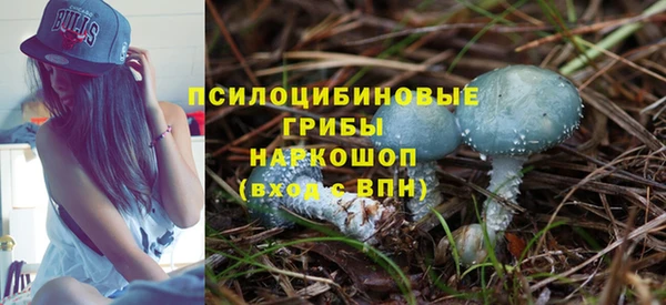 соль ск Зеленокумск
