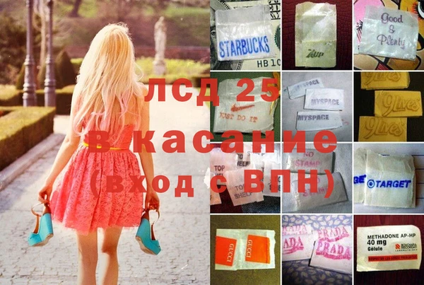 ПСИЛОЦИБИНОВЫЕ ГРИБЫ Зеленодольск