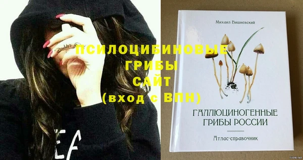ПСИЛОЦИБИНОВЫЕ ГРИБЫ Зеленодольск