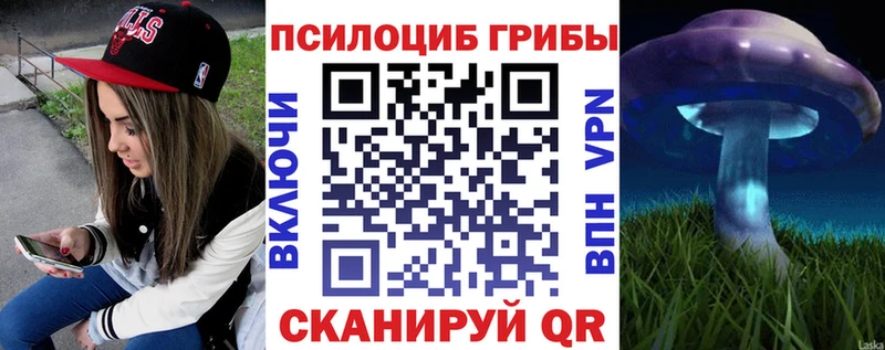 что такое наркотик  Ишим  Псилоцибиновые грибы MAGIC MUSHROOMS 