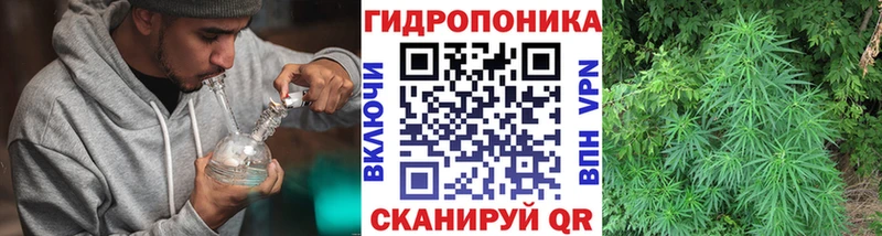 где купить наркоту  Ишим  ссылка на мегу tor  Шишки марихуана VHQ 